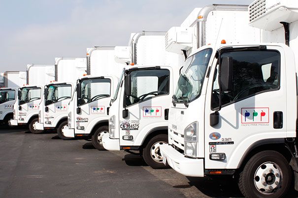 A line of white trucks parked in a row.